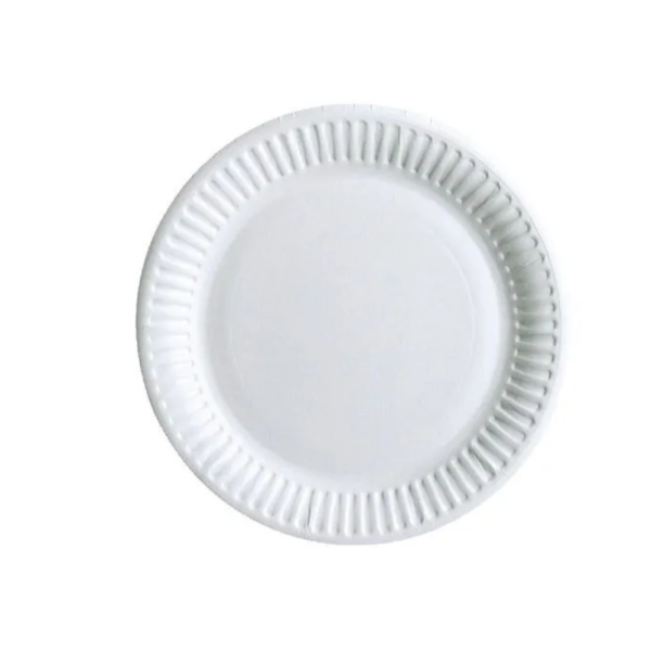 White Plain Disposable Paper Plate