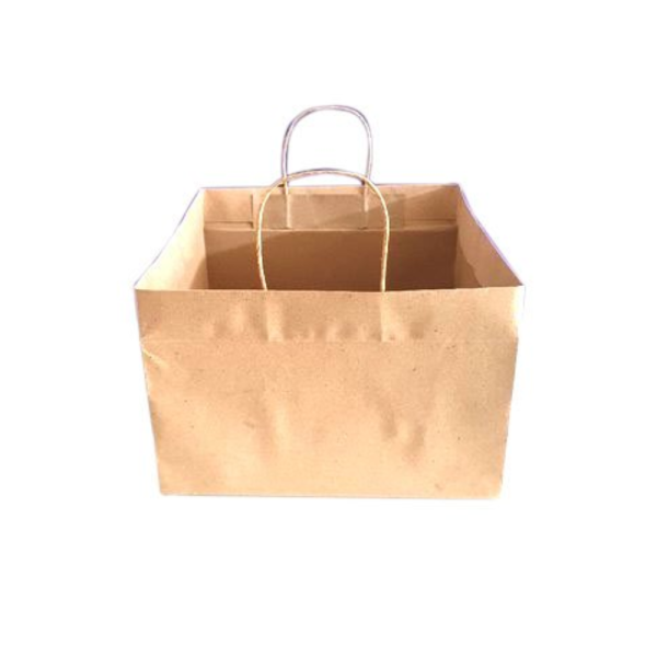 Brown Paper Square Carry Bag