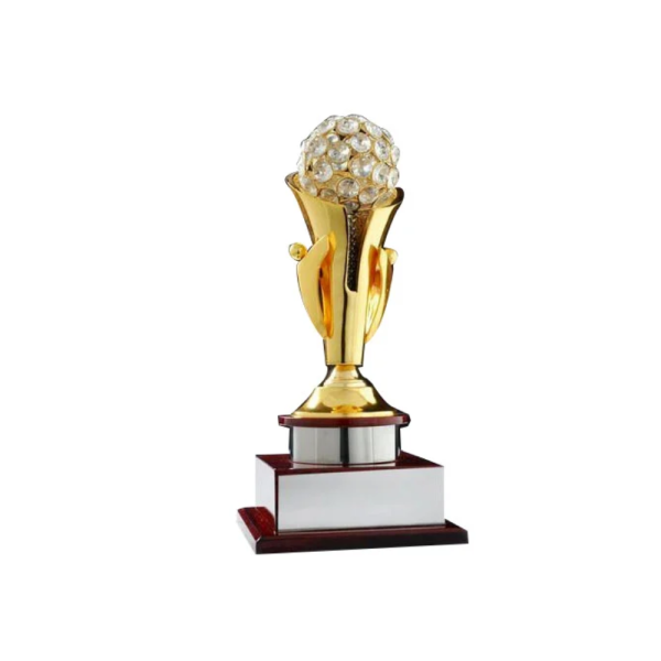 Silver Sports Cup