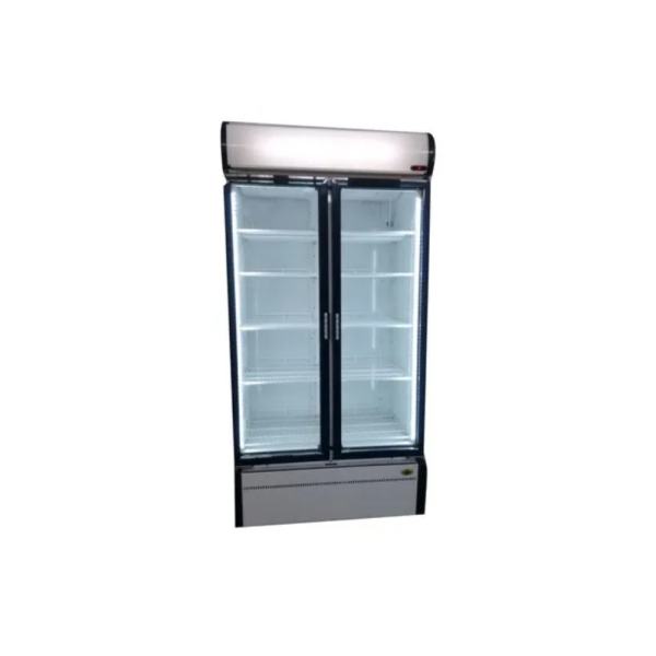 Double Door Visi Cooler