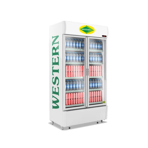 Visi Cooler Glass Door