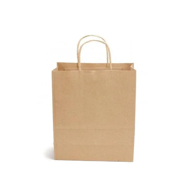 Paper Carry Bag