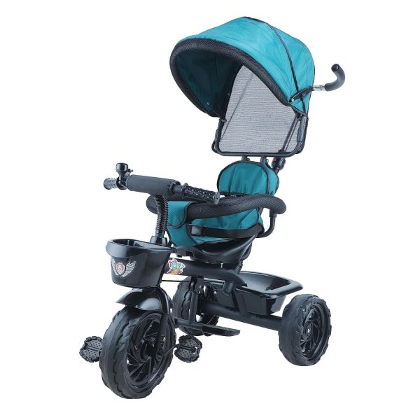 Tricycle with Canopy for Kids