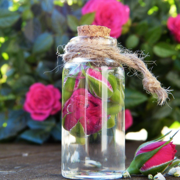 Rose De Mai Oil