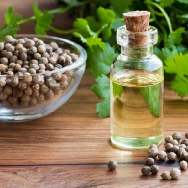 Coriander Oil