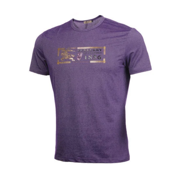 Fancy Round Neck T Shirt