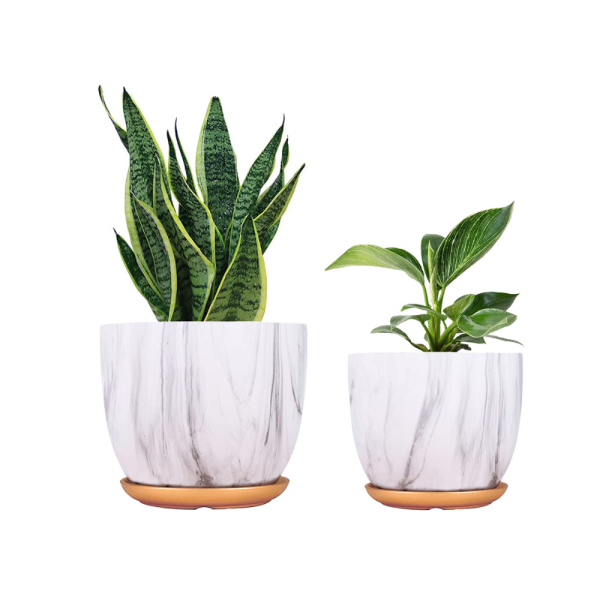 Ceramic Flower Pots for Indoor Plants