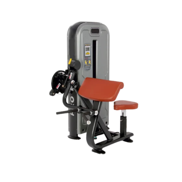 Biceps and Triceps Machine
