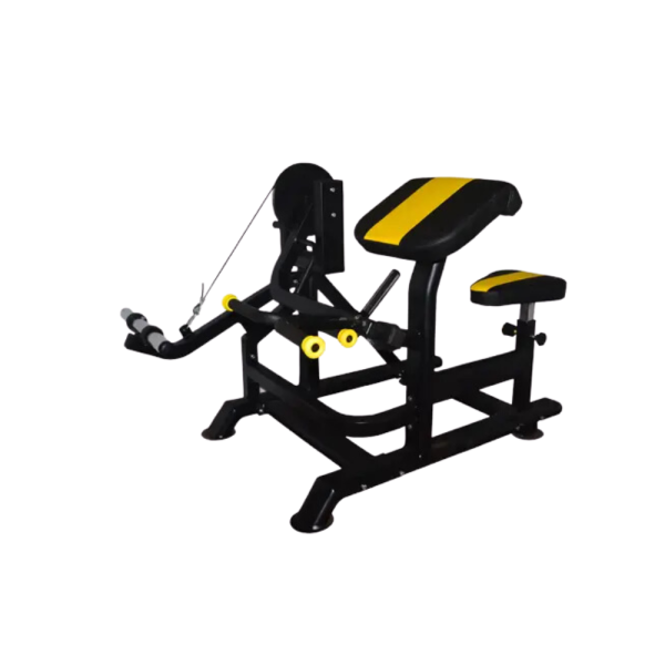 Preacher Curl Hammer Machine