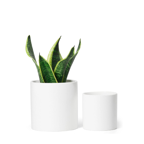 White Ceramic Pots