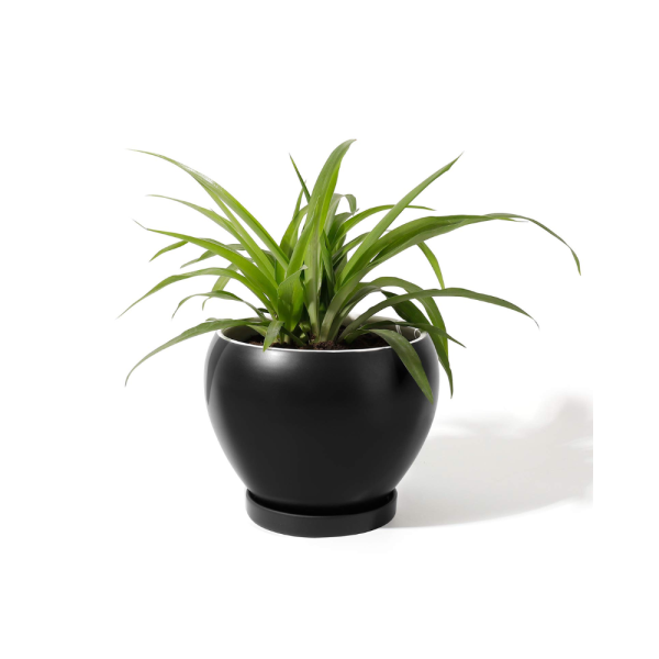 Ceramic Black Pots