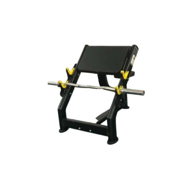 Biceps Preacher Curl