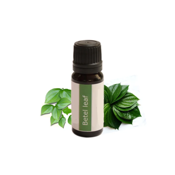 Betel Leaf Oil