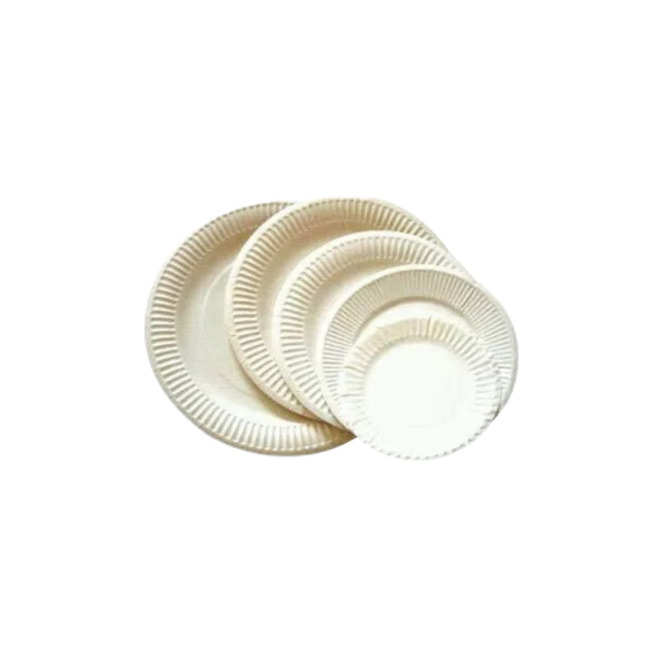 Disposable Paper Breakfast Plate