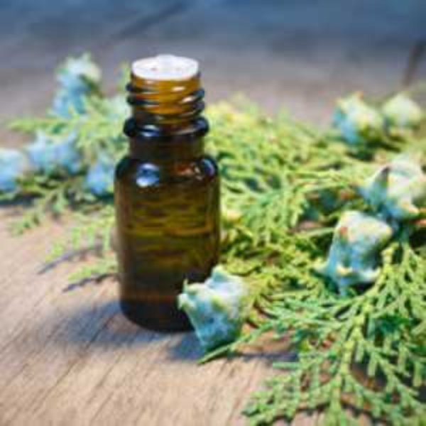 Thuja Wood Oil