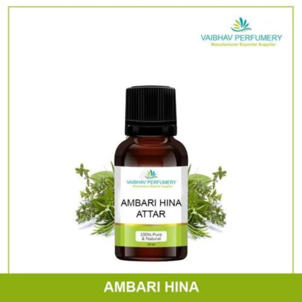 Ambri Hina Attar