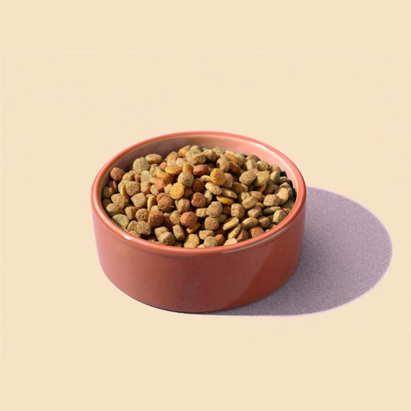 Dry Food for Dogs & Cats