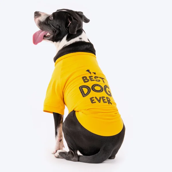 HUFT Best Dog Ever Pet Sweatshirt - Yellow