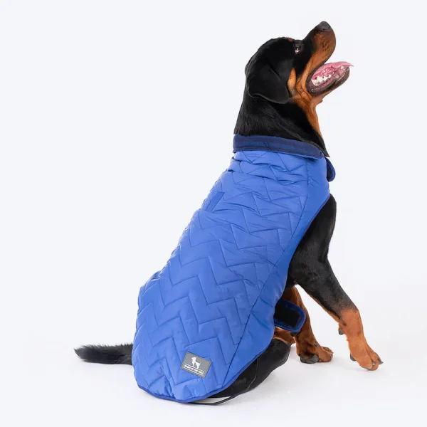 HUFT Wintersong Corduroy Reversible Dog Jacket - Blue