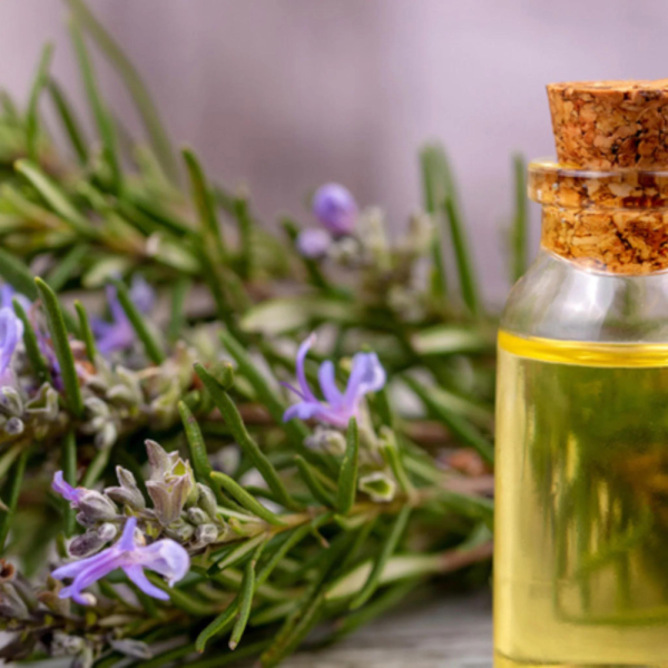 Rosemary Oil