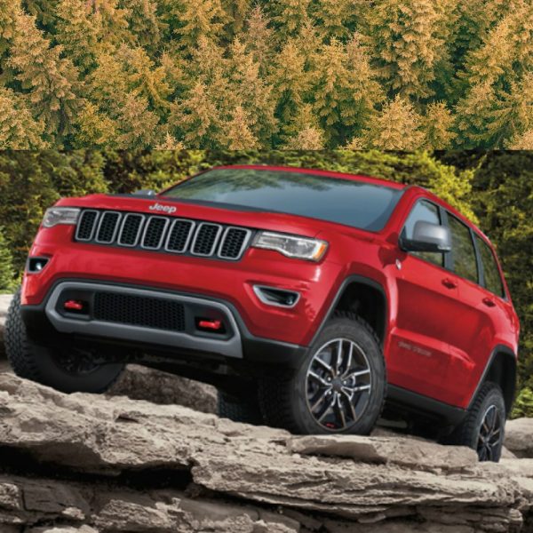 Jeep Grand Cherokee - Image 4
