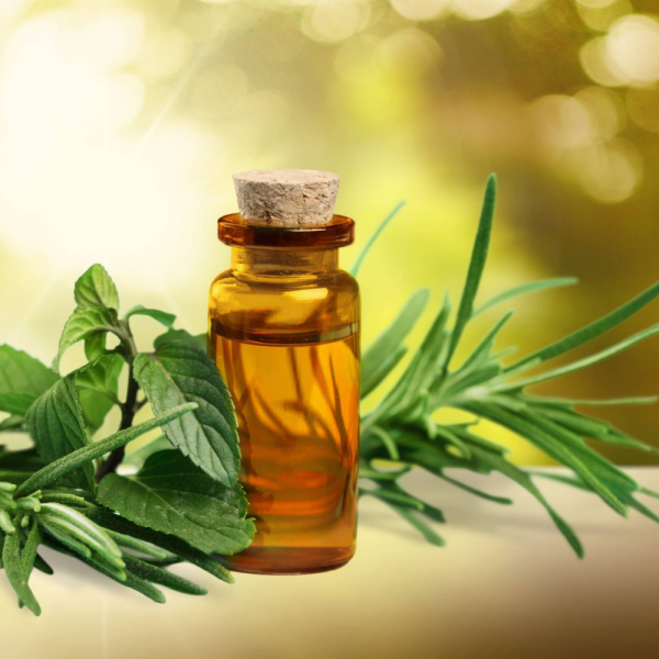 Tea Tree Oil