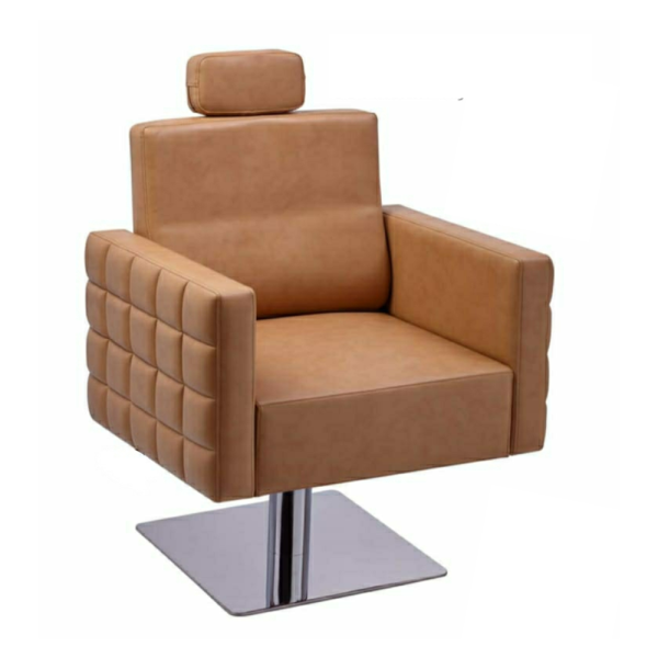 Salon Chair