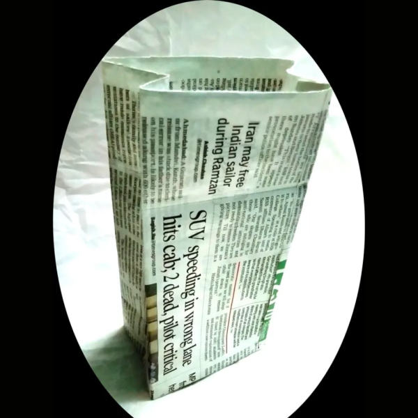 Plain Paper Bags