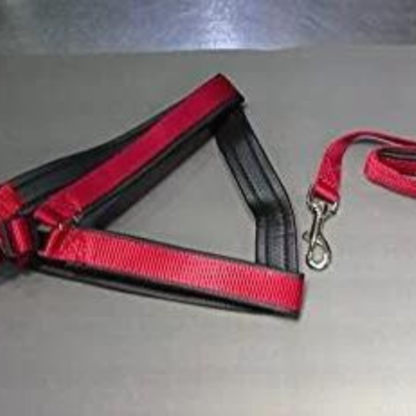 Animax Designer Stylish Neck Belt for All Dogs (Red)