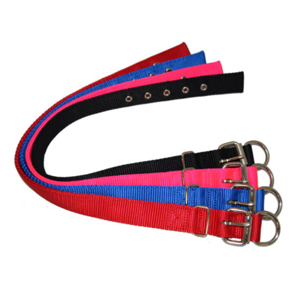 50 Inch Puppy Nylon Dog Collar