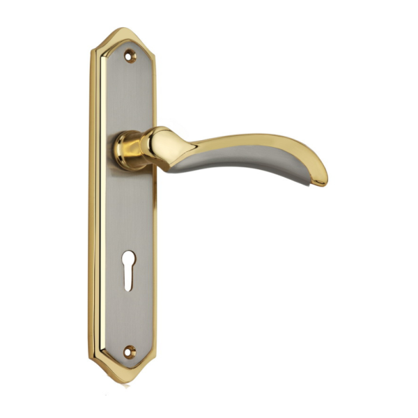 Brass Mortice Handles