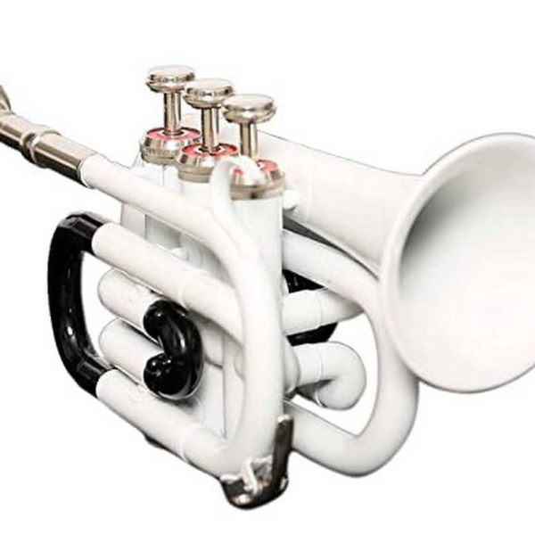 Pocket trumpet