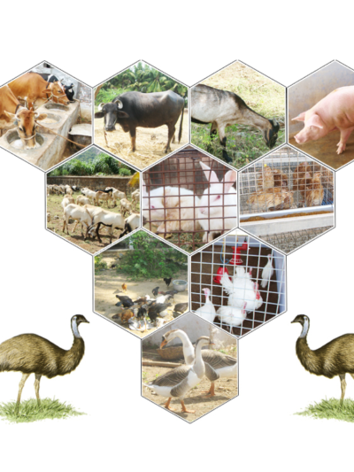 Agriculture & Animal Husbandry