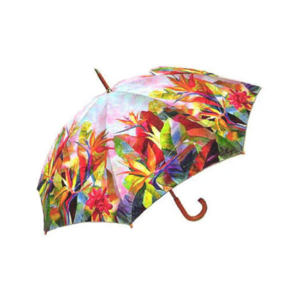 Printed Umbrella