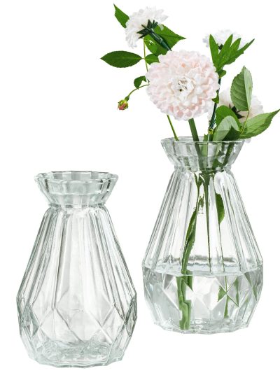 Glass Vases