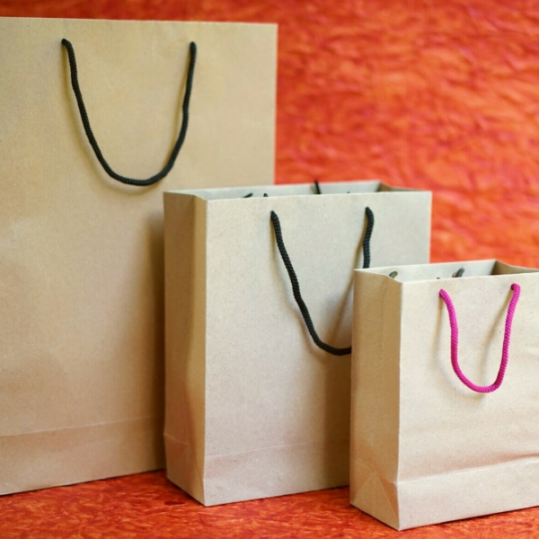 Paper Bag (Quantity: 2000 Piece)
