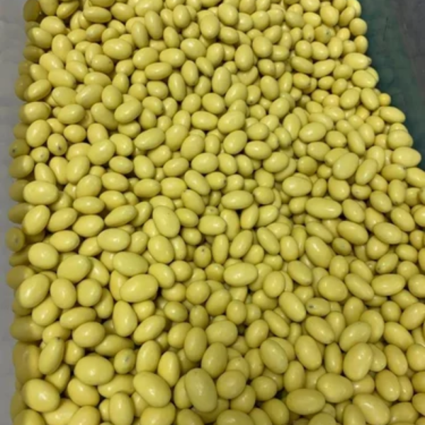 Mango Chocolate Coated Almonds ( Per Kg )