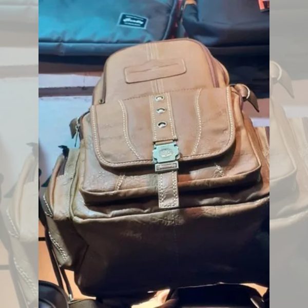 Brown Color Stylish Backpack