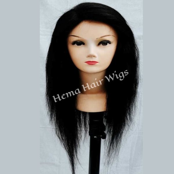 Wig Store's Human hair wig for women