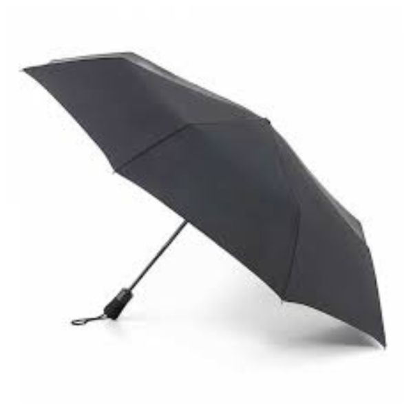 Umbrella