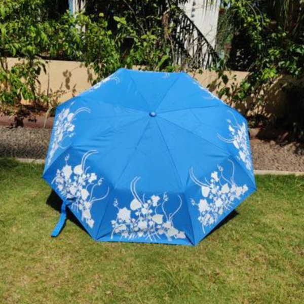 Colour Changing Umbrella