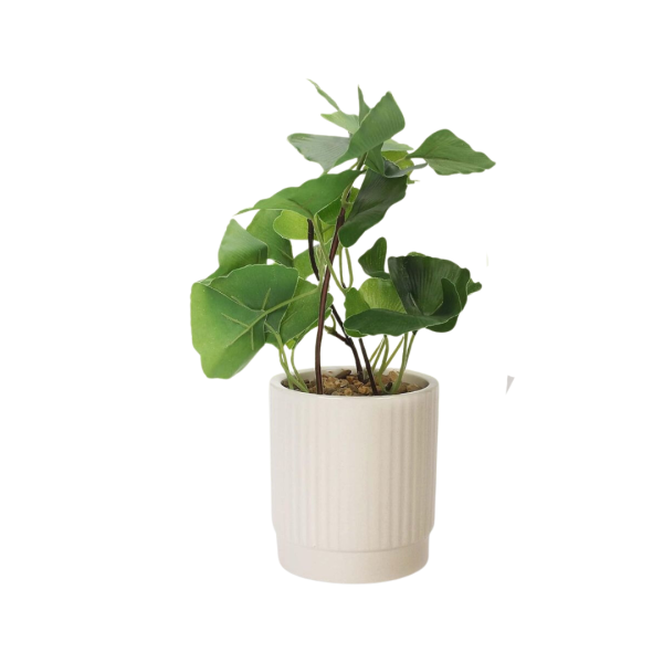 Anko Artificial Plant & White Ceramic Pot