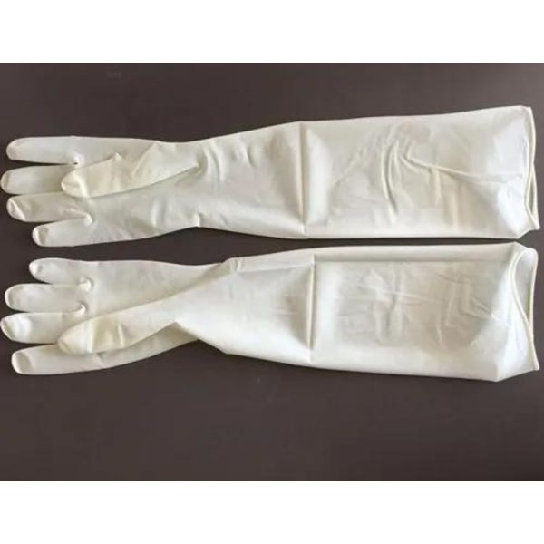 Sterile Elbow Length Gynecological Gloves
