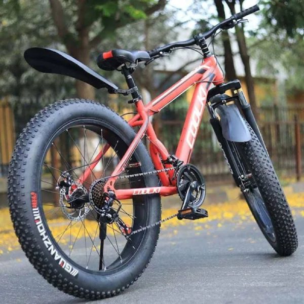 Walkontek Cycles | SS026 26TX4 Inch Fat tyre Cycle