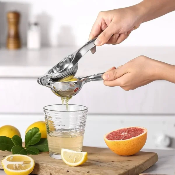 DesiDine Kitchen Tools/Utilities Combo Set of 5 pcs (Lemon Squeezer, Ice Cream Scoop, Slicer and 2 Grater) - Image 4