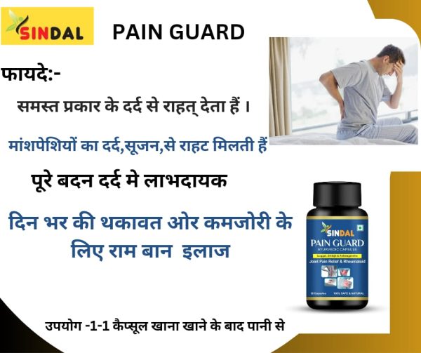 Sindal Pain Guard Ayurvedic Capsule - Image 2